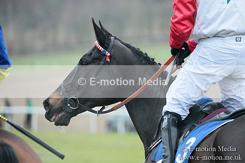 PtP 251118-279 - Vine & Craven Point-to Point Barbury Racecourse 25/11/18