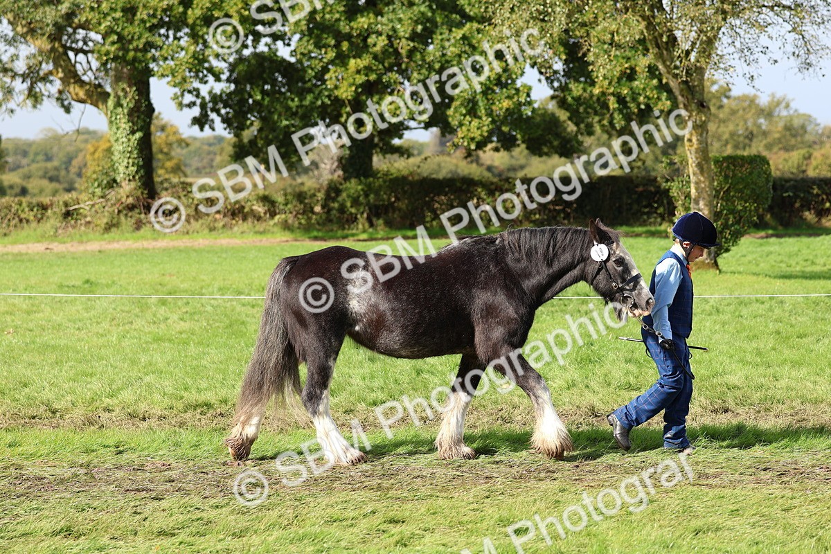 SBM_39409 - S24 - Young Veteran In Hand