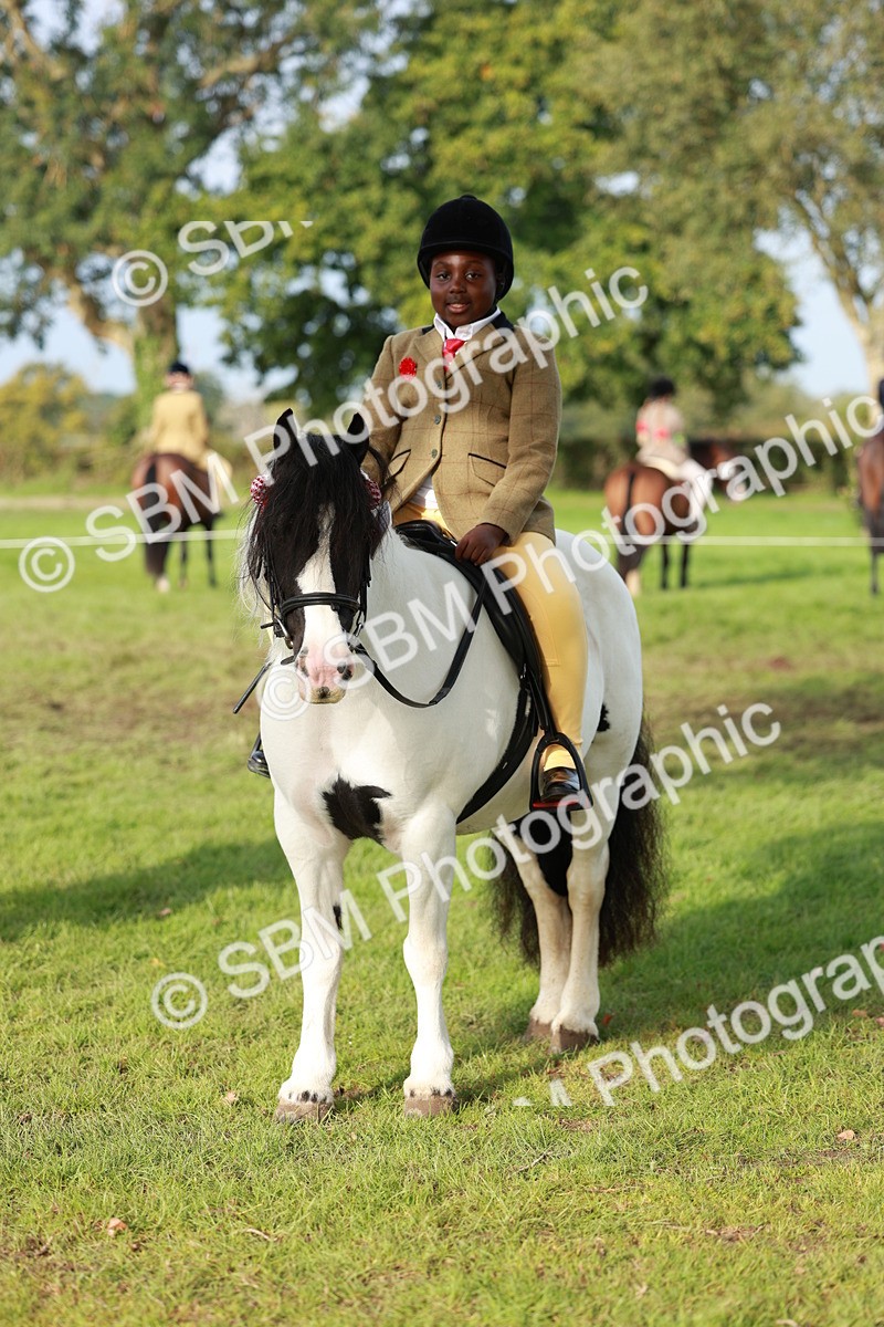 SBM_56402 - S39 - Starters In Hand Showing