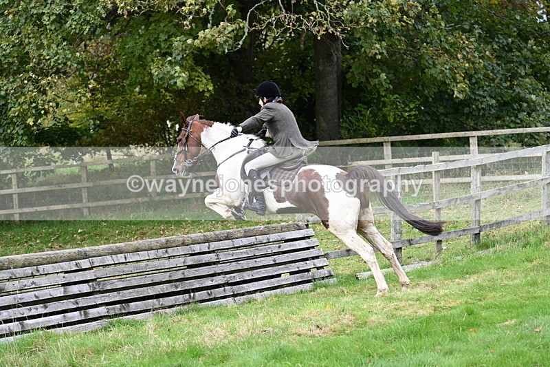 WJ7_4675 - Camera 1 Line 3