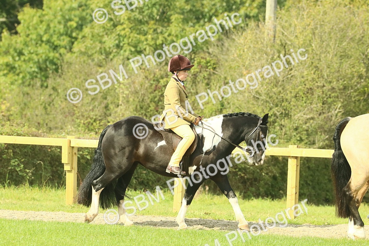 SBM_67384 - S56 - Coloured Pony Ridden