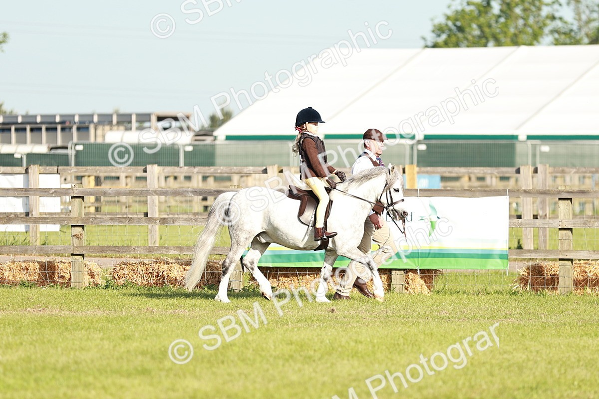 SBM_11035 - Class 106-107 - BSPS LIHS Working Sports Pony