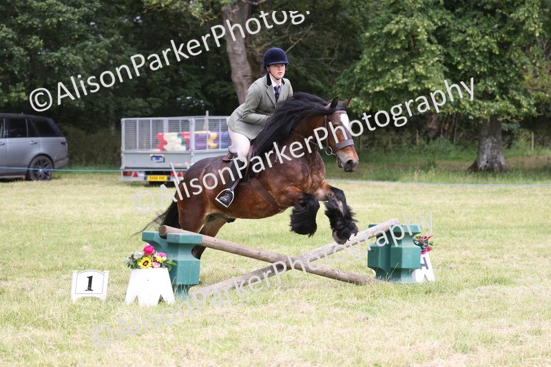 20260614-2918 - Class 22 - Open Working Hunter