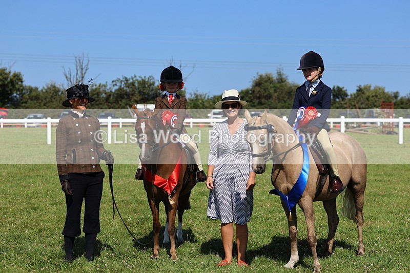 IMG_1861 - Plaited Mini Ridden Championship
