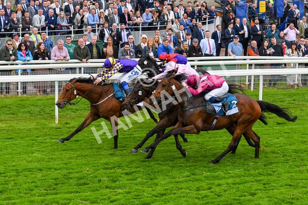 190523-Race 6-Eligible-0836 - Race 6 4.45pm Yorkshire Equine Practice Handicap