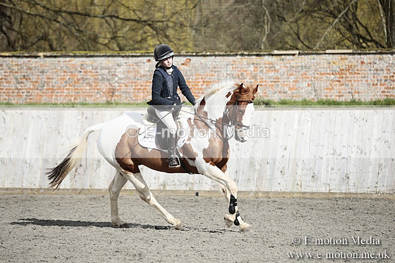 BVRC SJ 170319 707 - Bourne Valley Riding Club Showjumping 17/03/19