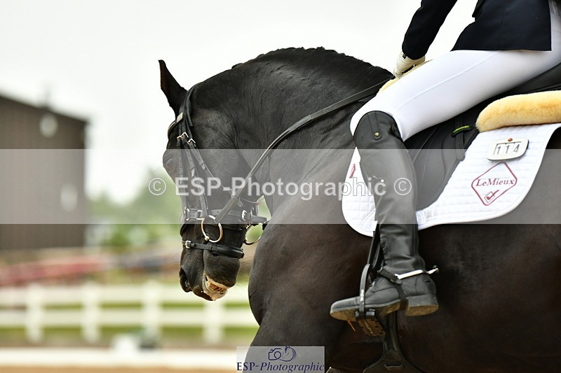 230630A-112424-01341 - Cls 5 Novice 37A