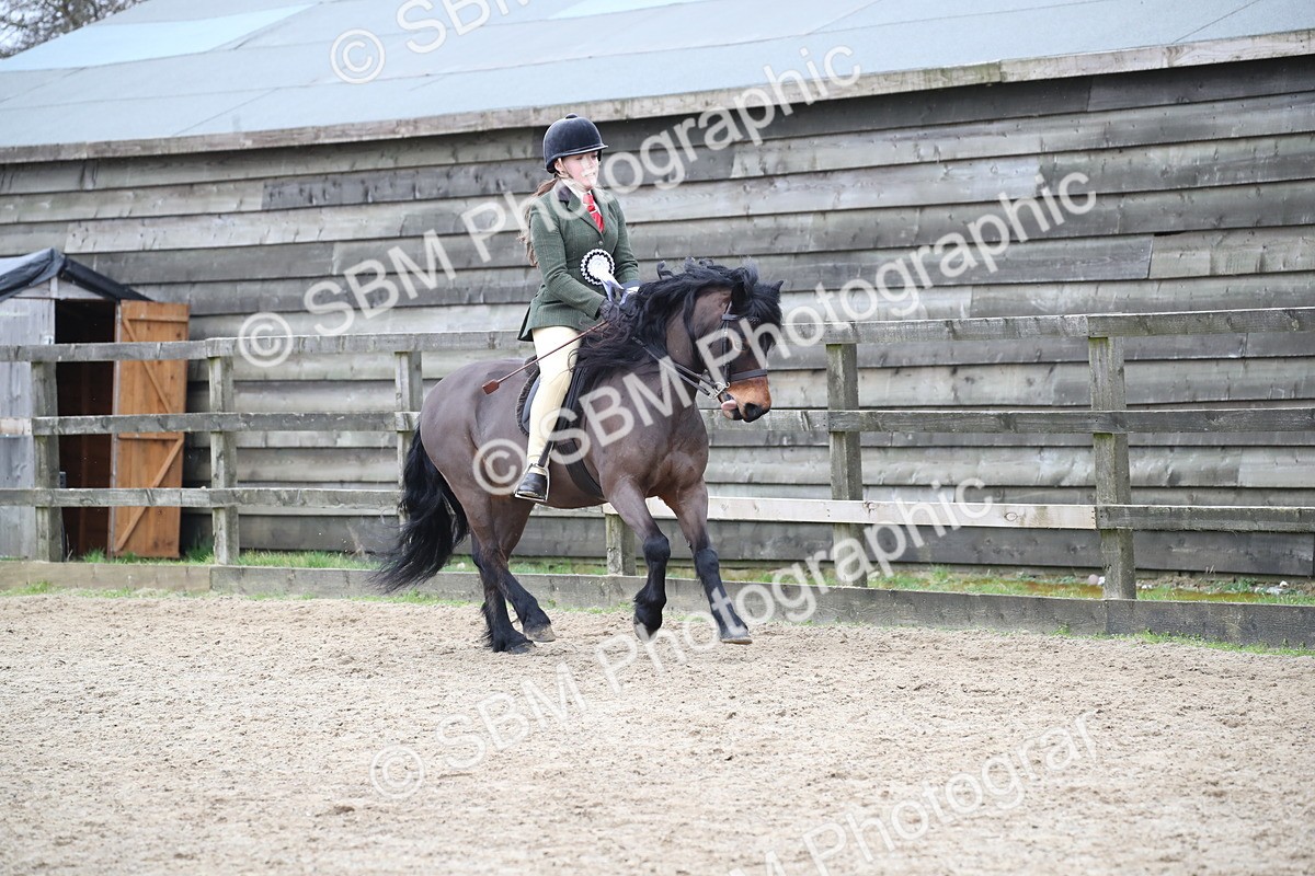 SBM_006481 - Class 10-13 - RIHS Small Large Breeds