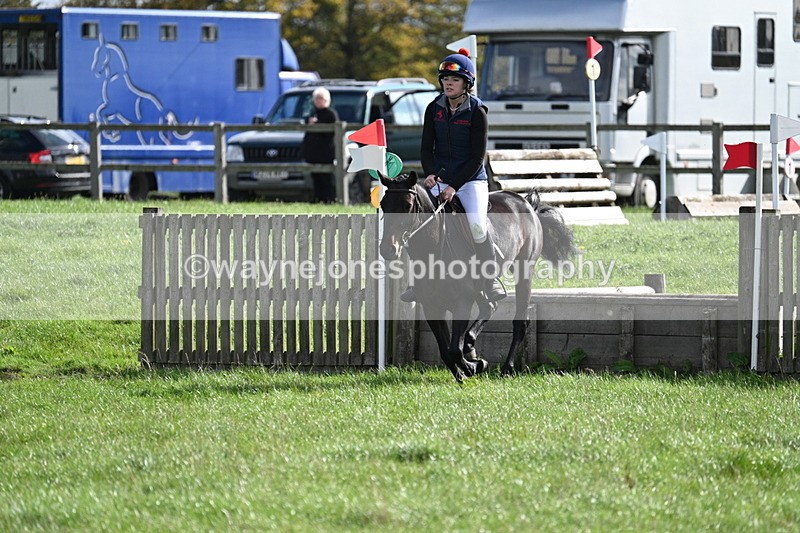 WJ7_8584 - 60cm Pairs