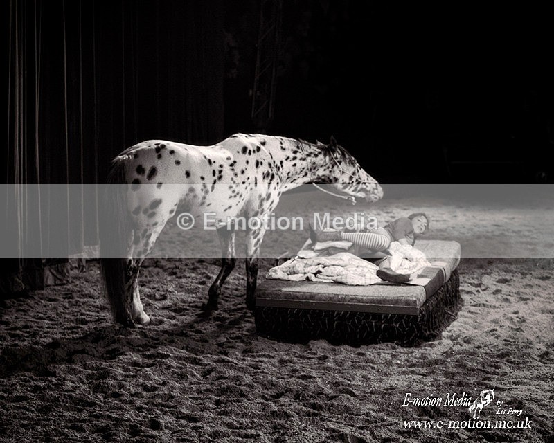 spirit horse 020906 150bw - B & W photography