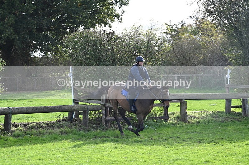 WJ7_0959 - Time 14:27 to 15:11