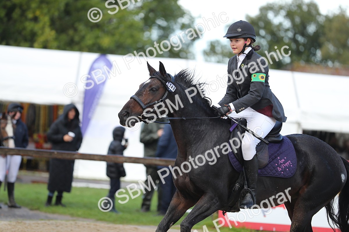 SBM_37277 - J20 - Junior Horse 50cm Championship