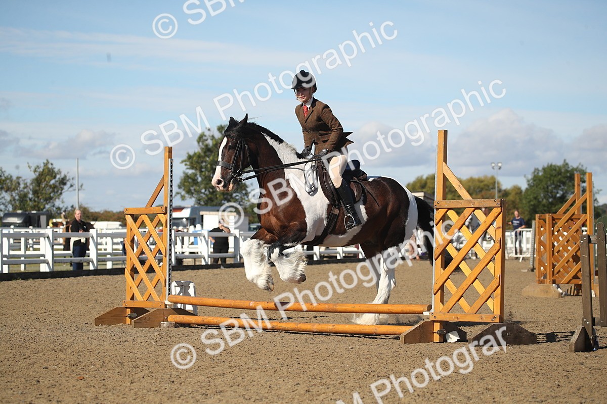 SBM_12735 - Class 504b - Junior Working Veteran - 40cm (20+)