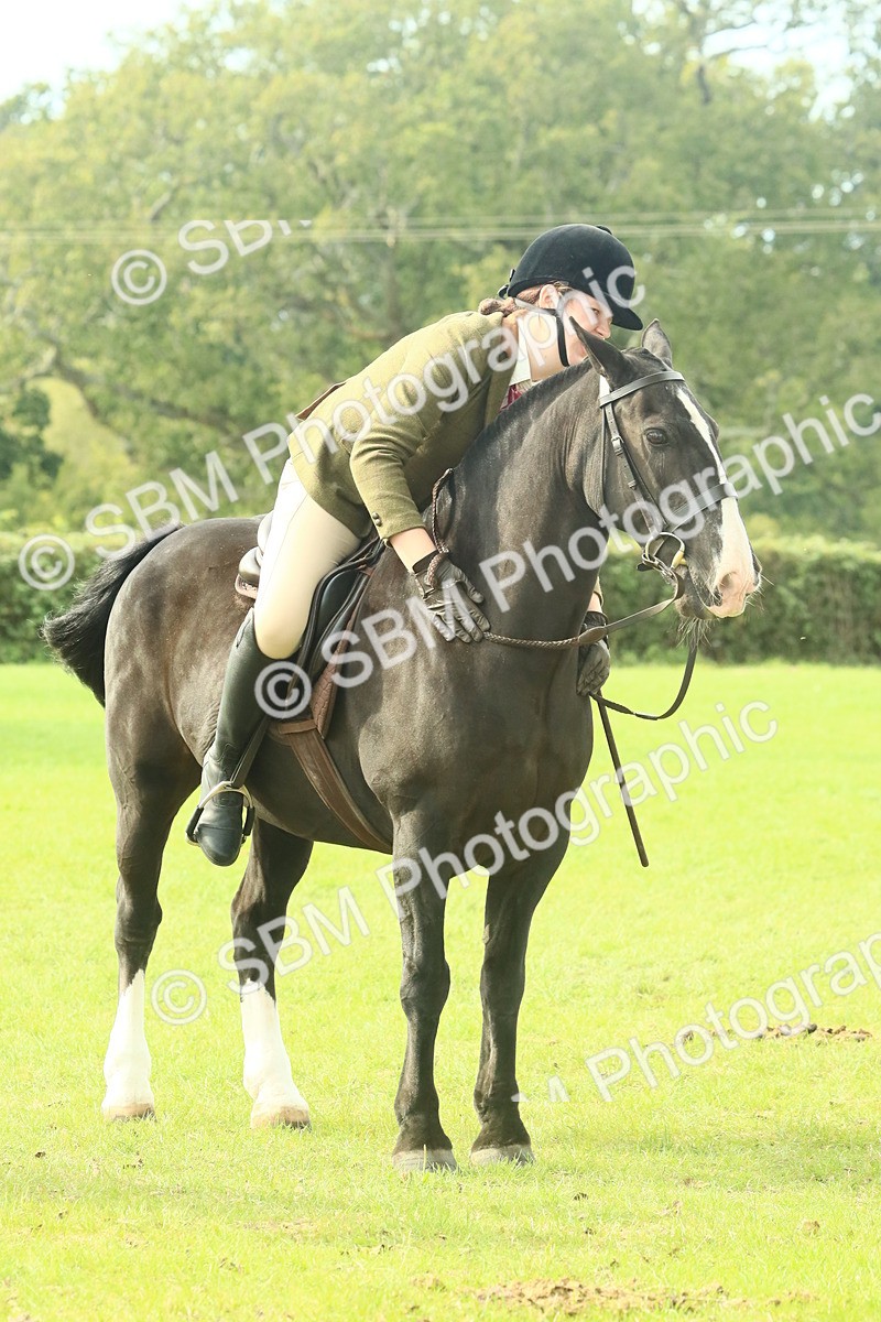 SBM_69374 - S58 - Mini Show Cob Ridden