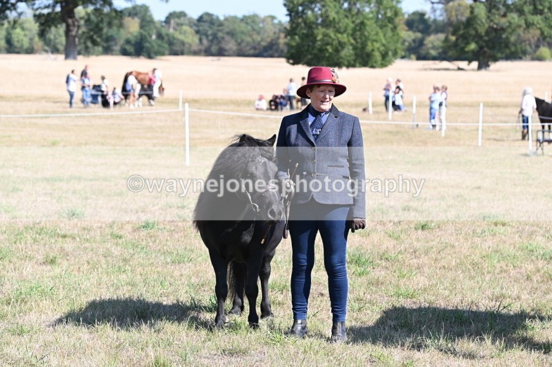 WJ6_4319 - Class 16 Condition & Turn Out