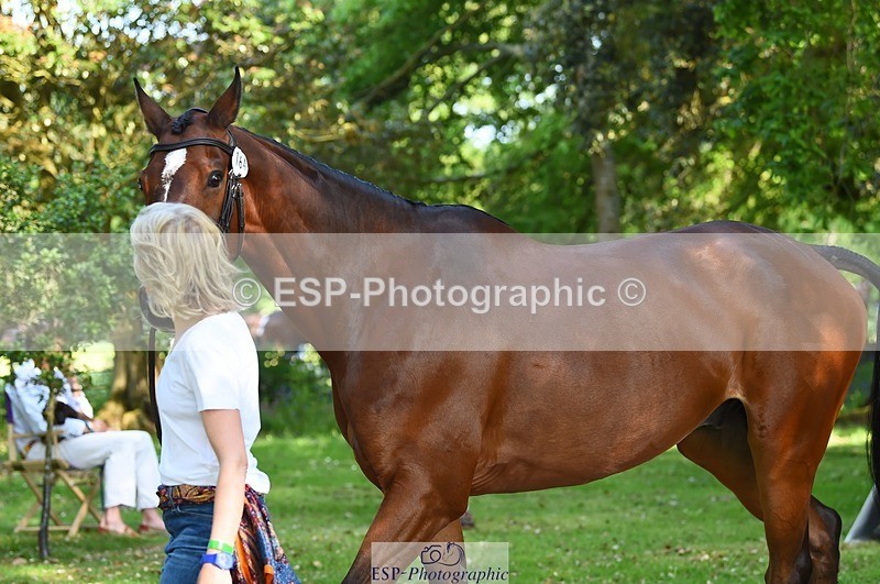 230524-163908-01003 - 164-TREBOR-Kelly_Mccarthy-maine-WEDTrotUp+DR