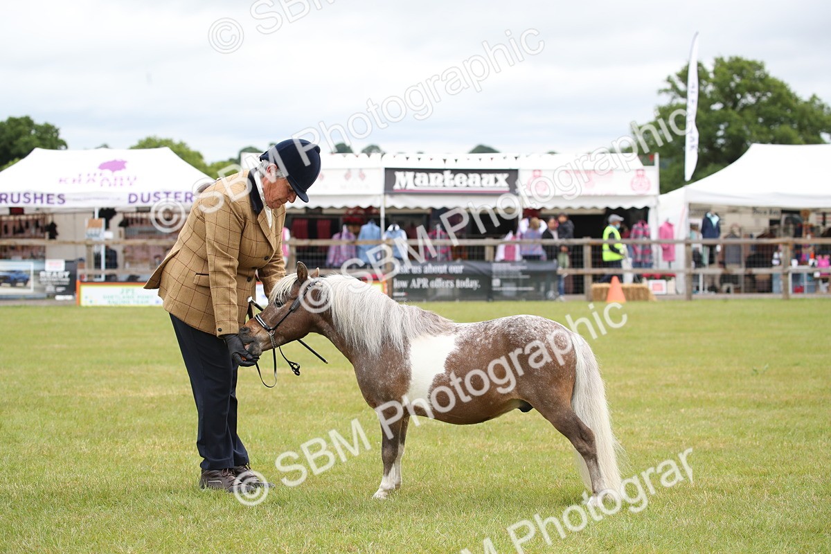 SBM_03795 - Class 23-25 - British Miniature Horse of the Year