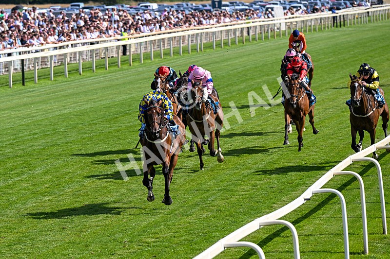 110726-Race 5-Cruden-0356 - Race 5 16.20pm John Smith's Stayers' Handicap