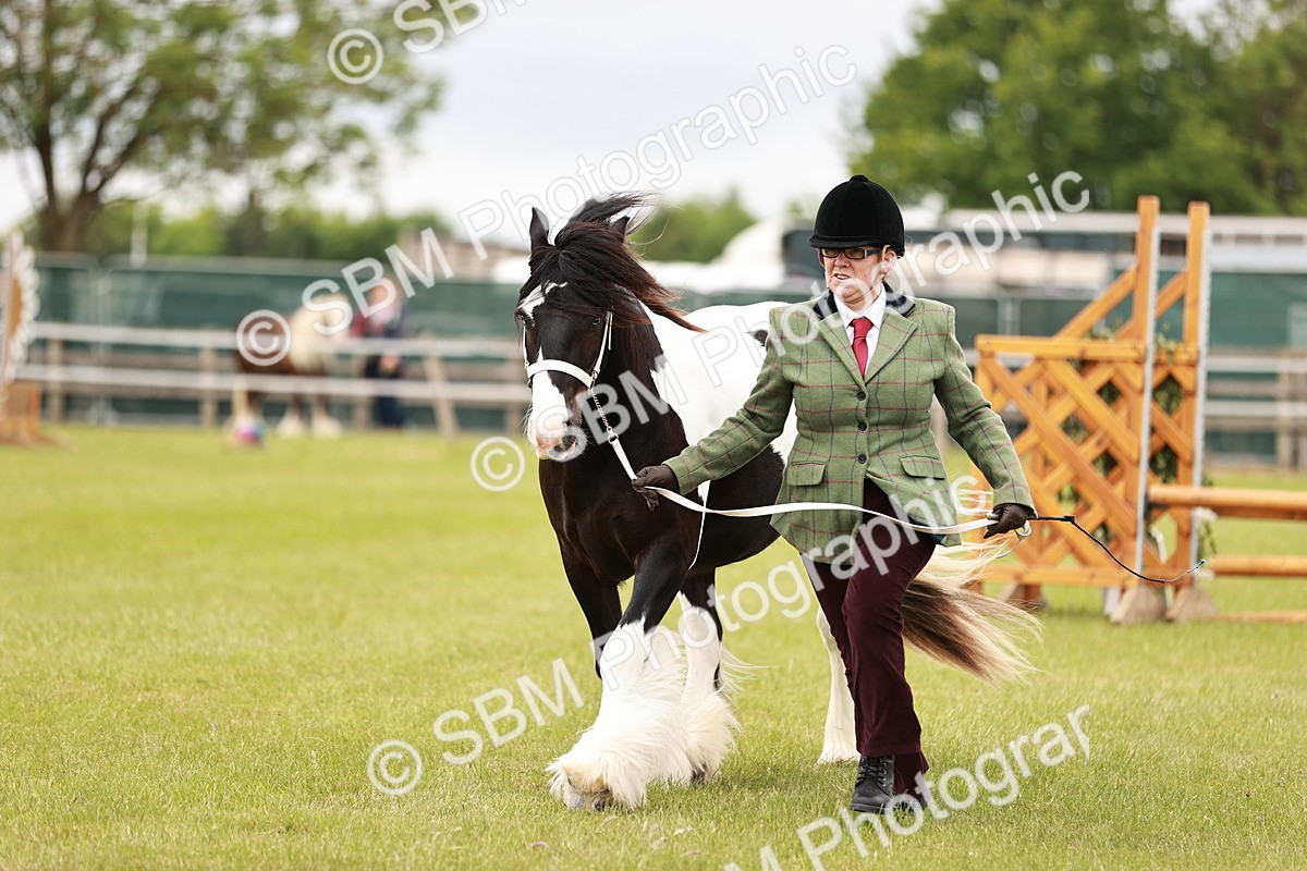 SBM_05985 - Class 39-41 TGCA In Hand and Ridden