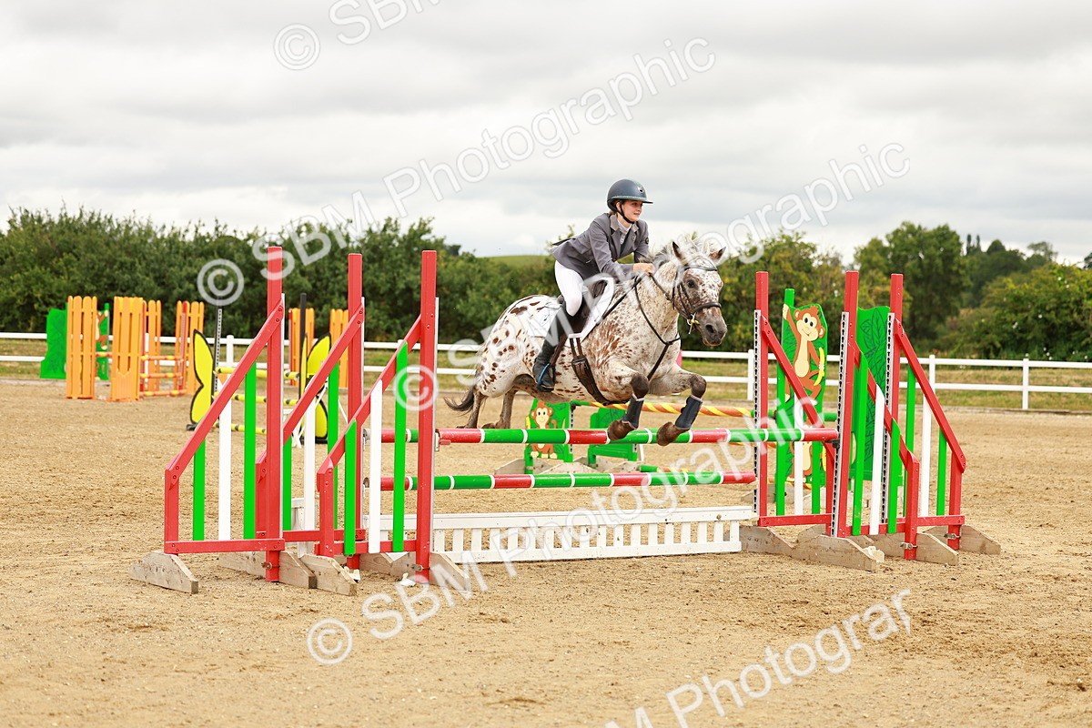 SBM_001759 - Class 9 - Senior British Novice - 90cm