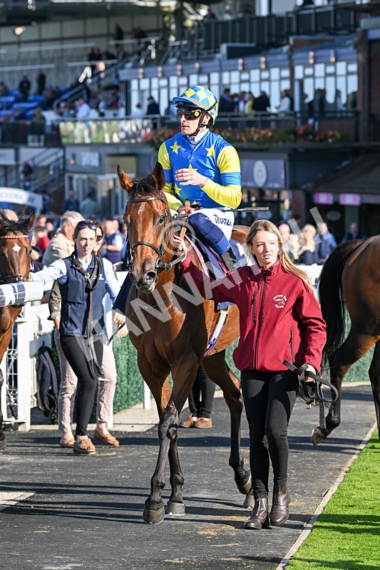 180924-Race 5-Blue Zodiac-4826 - Race 5