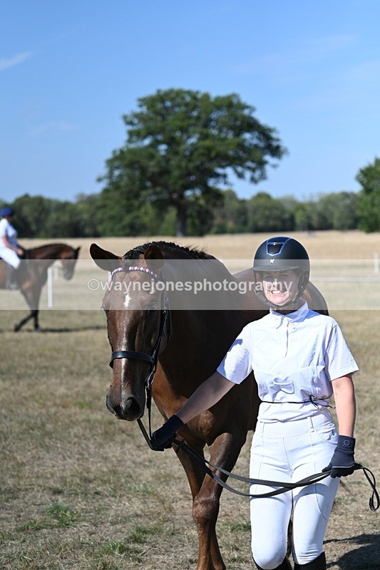 WJ7_1502 - Class 42 Most Handsome Gelding