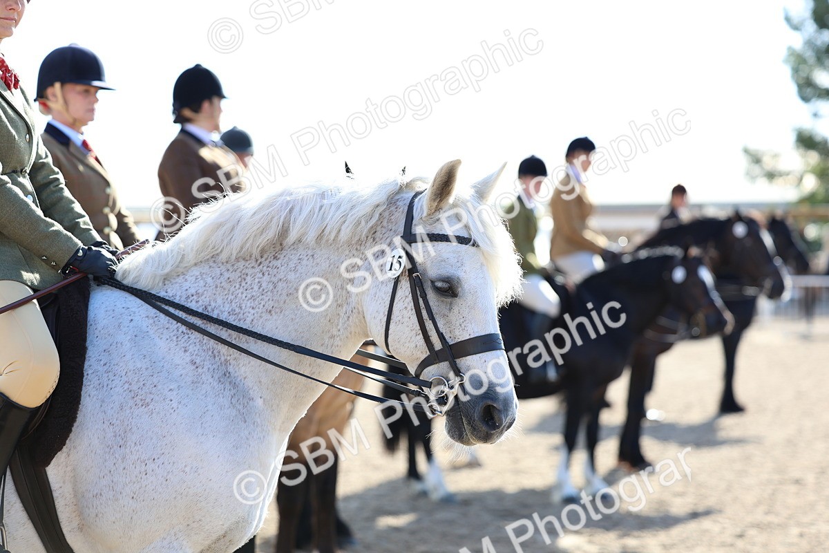 SBM_08932 - Class 302 - Ridden M&M - Large Breeds