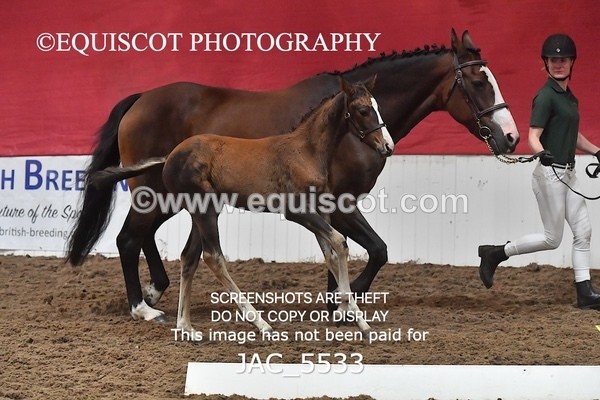 JAC_5533 - 13 Zi Real McCoy