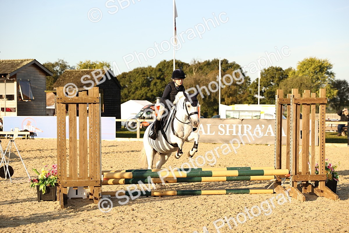 SBM_57190 - J11 - Junior Pony 50cm Championship