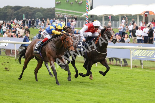 yr24092021r2-21 - Race 2 2.05pm William Hill Extra Places Races Stakes