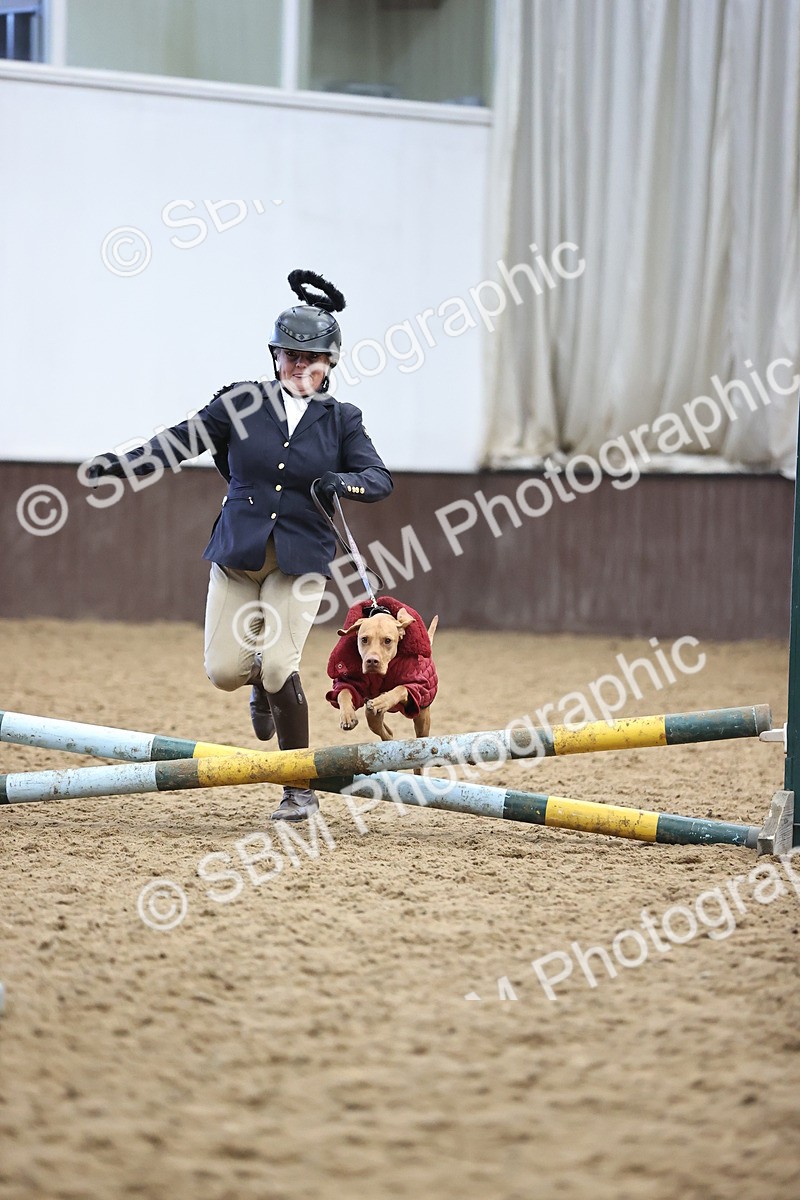 SBM_001474 - Class 3 - Horse & Hound 60cm