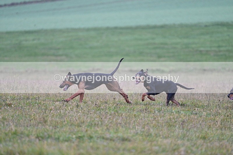 WJ7_0430 - Camera 1