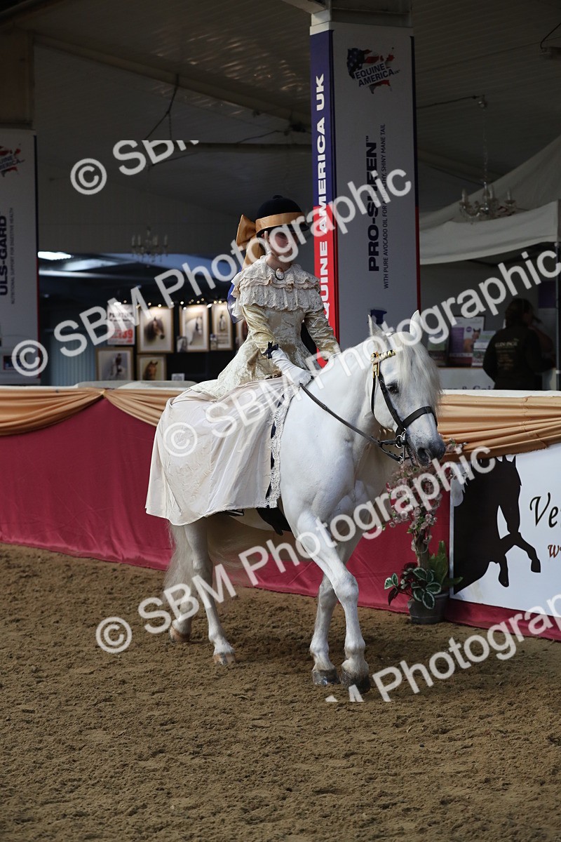 SBM_11198 - Class 104 Ridden Costume - Astride Junior