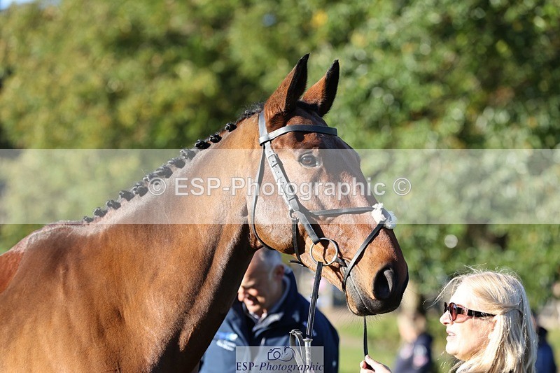 241027-085828-14934 - 369-Carolyn.Price-I.WISH.ANDY