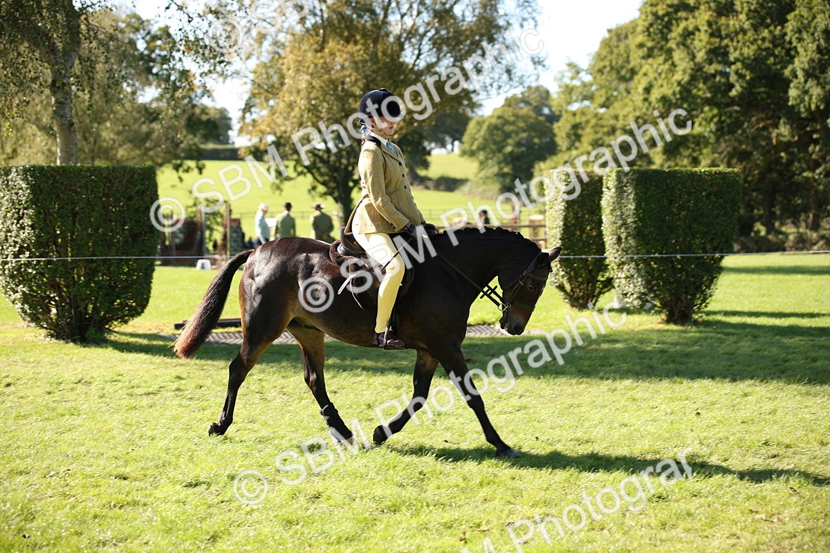 SBM_38965 - S11 - Best Ridden Horse & Pony
