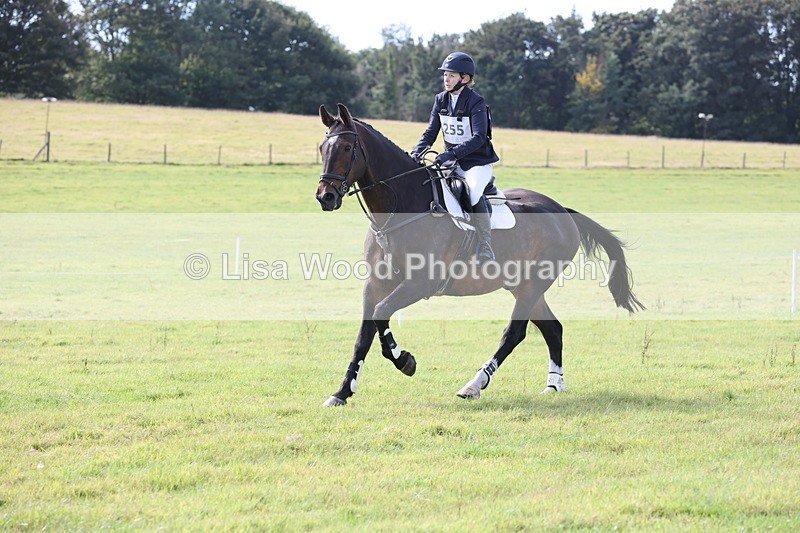 JPP_8779 - Class 2: Trekenning: 80cm Showjumping