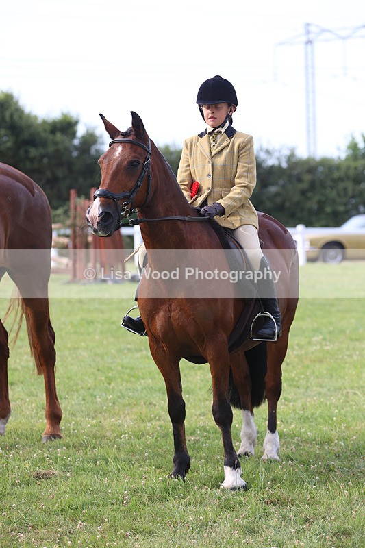 JPP_4793 - Working Hunter Championship