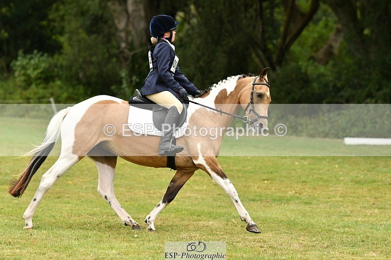 250820A-125132-05676 - 12 to 13.00