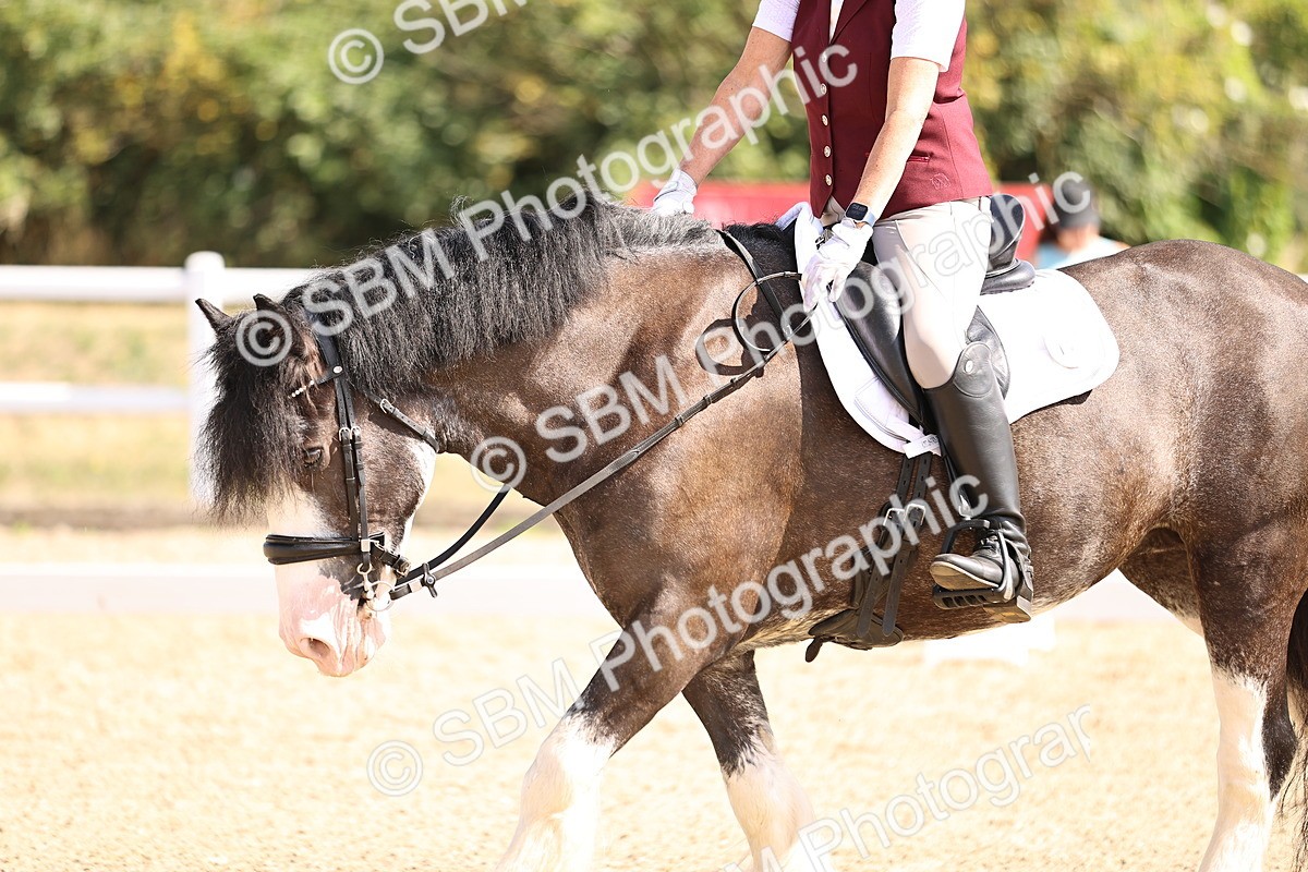 SBM_006494 - Intro 3 - 9.46-10.46