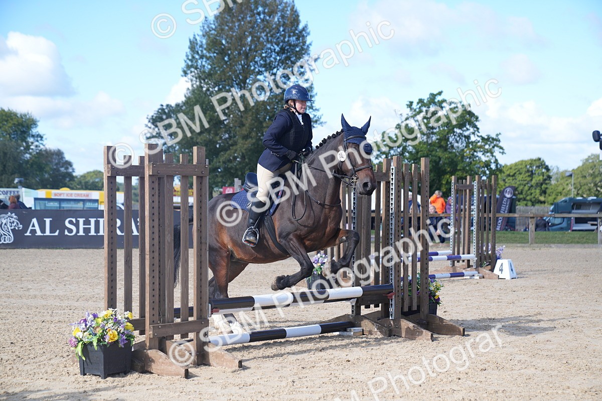 SBM_02411 - J54 Clear Round 45cm