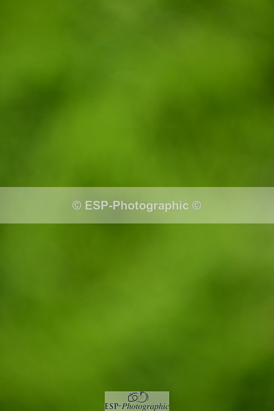 250703A-093550-02245 - Cls 1 Snr Foxhunter