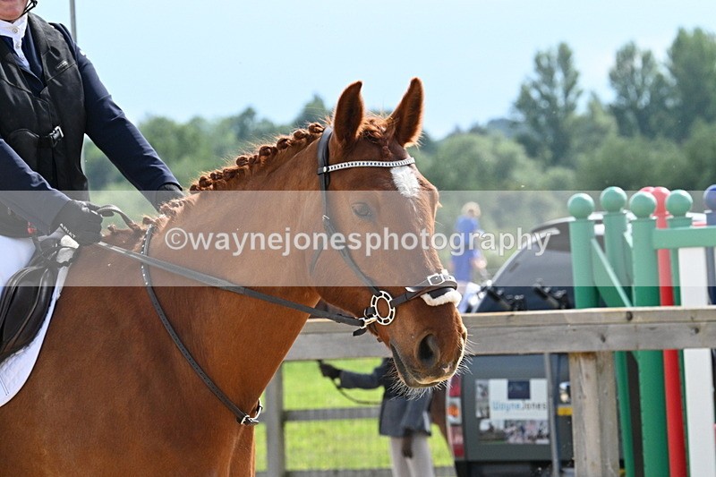 WJ7_8292 - Time 16:10 to 16:25