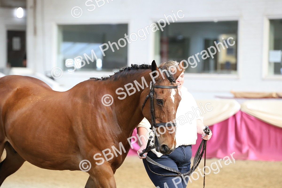 SBM_22489 - Class 902 - Supreme Final - IH Diamond