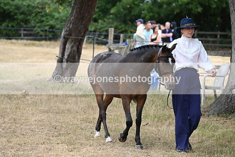 WJ6_7963 - Class 10 Coloured in Hand