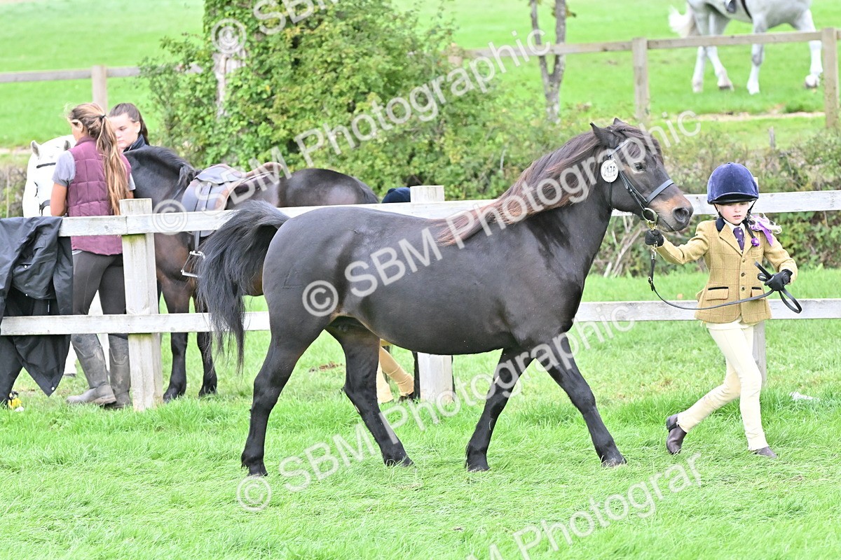 SBM_66791 - S41 - Junior Handler 8 Years & Under