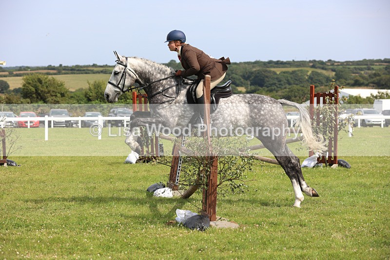 JPP_3991 - Class 24: Working Hunter 90cm
