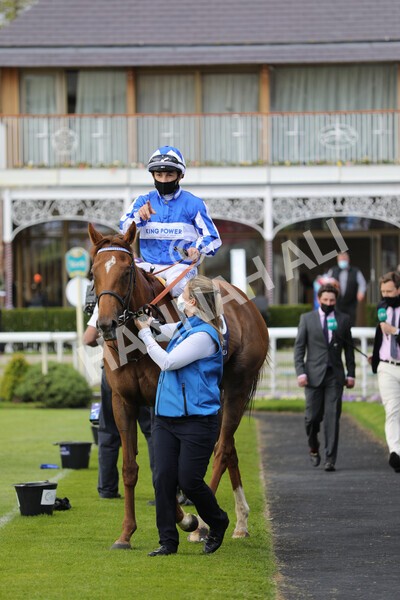 yr13052021r2-20 - Race 2 2.10pm Al Basti Equiworld Dubai Middleton Fillies' Stakes