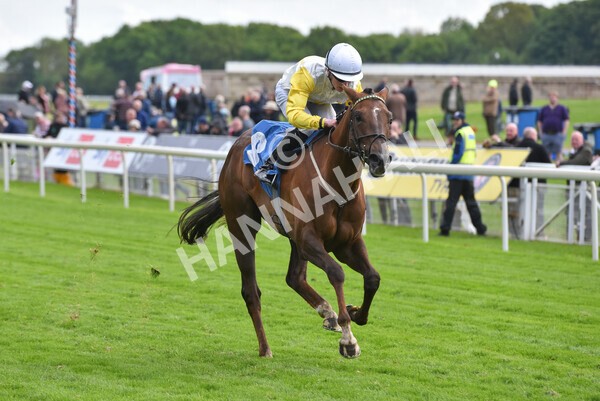 yr11052022r6-31 - Race 6 4.45pm Conundrum HR Consulting Stakes