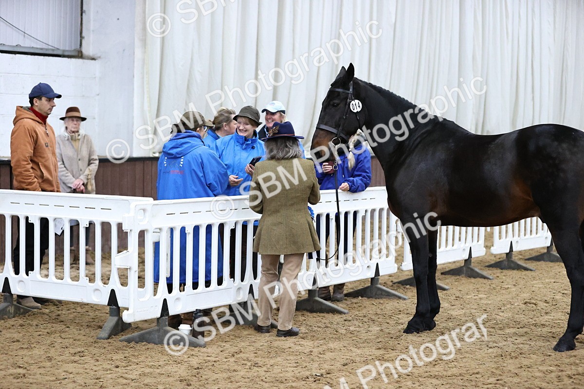 SBM_5709 - Class 40 - RESS In Hand Qualifier