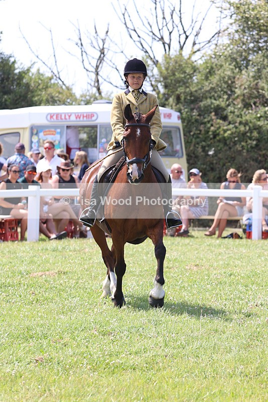 JPP_3363 - Class 22: Working Hunter 70cm